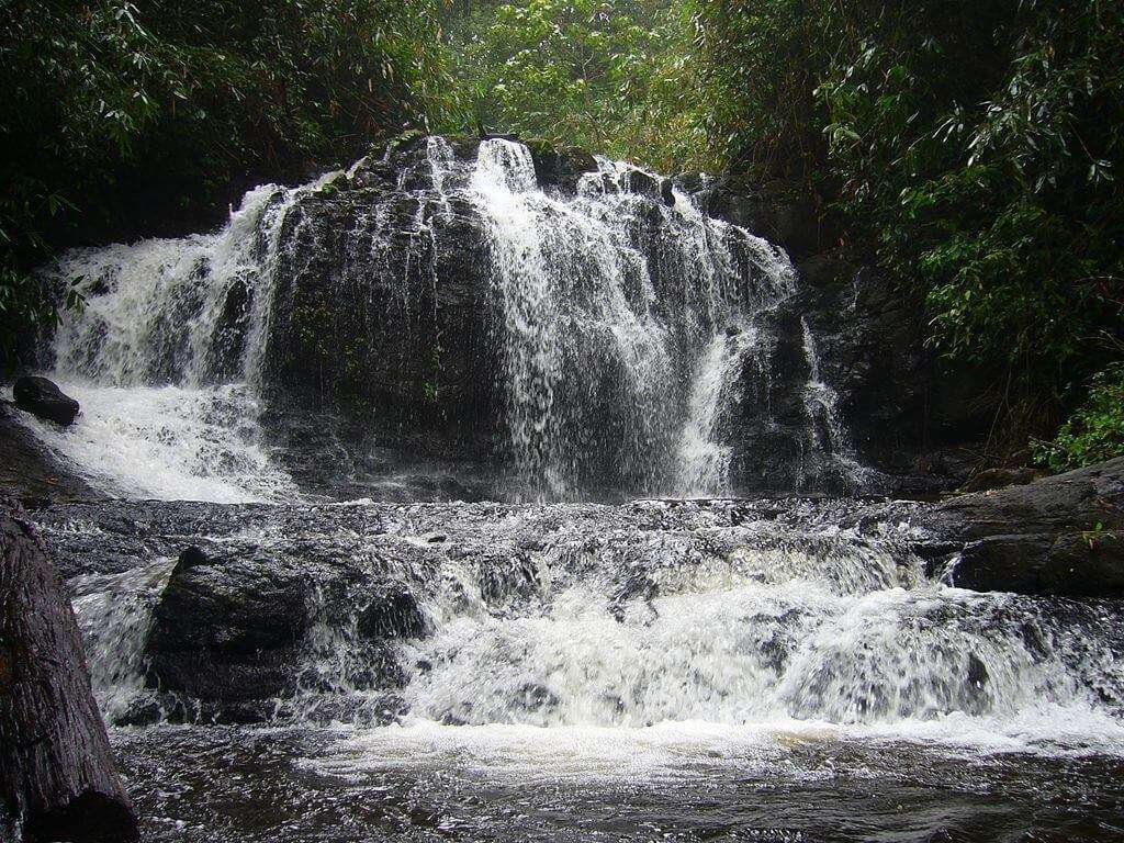 Gavi_Forest_Waterfalls