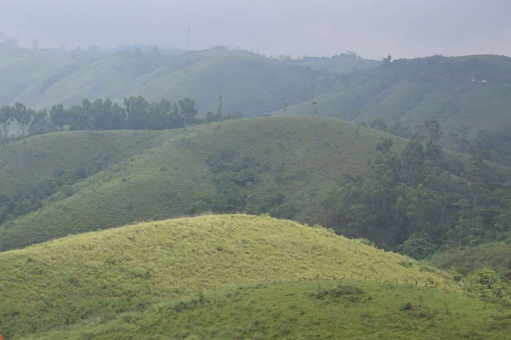 Vagamon_hills_of_Kerala