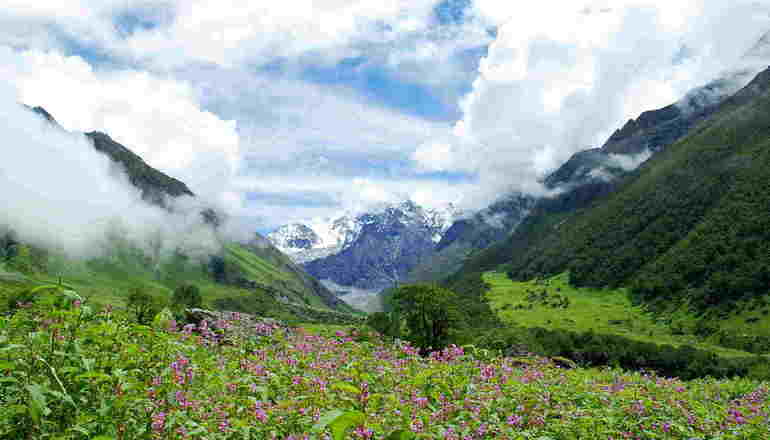 Valley of flowers Uttarakhand